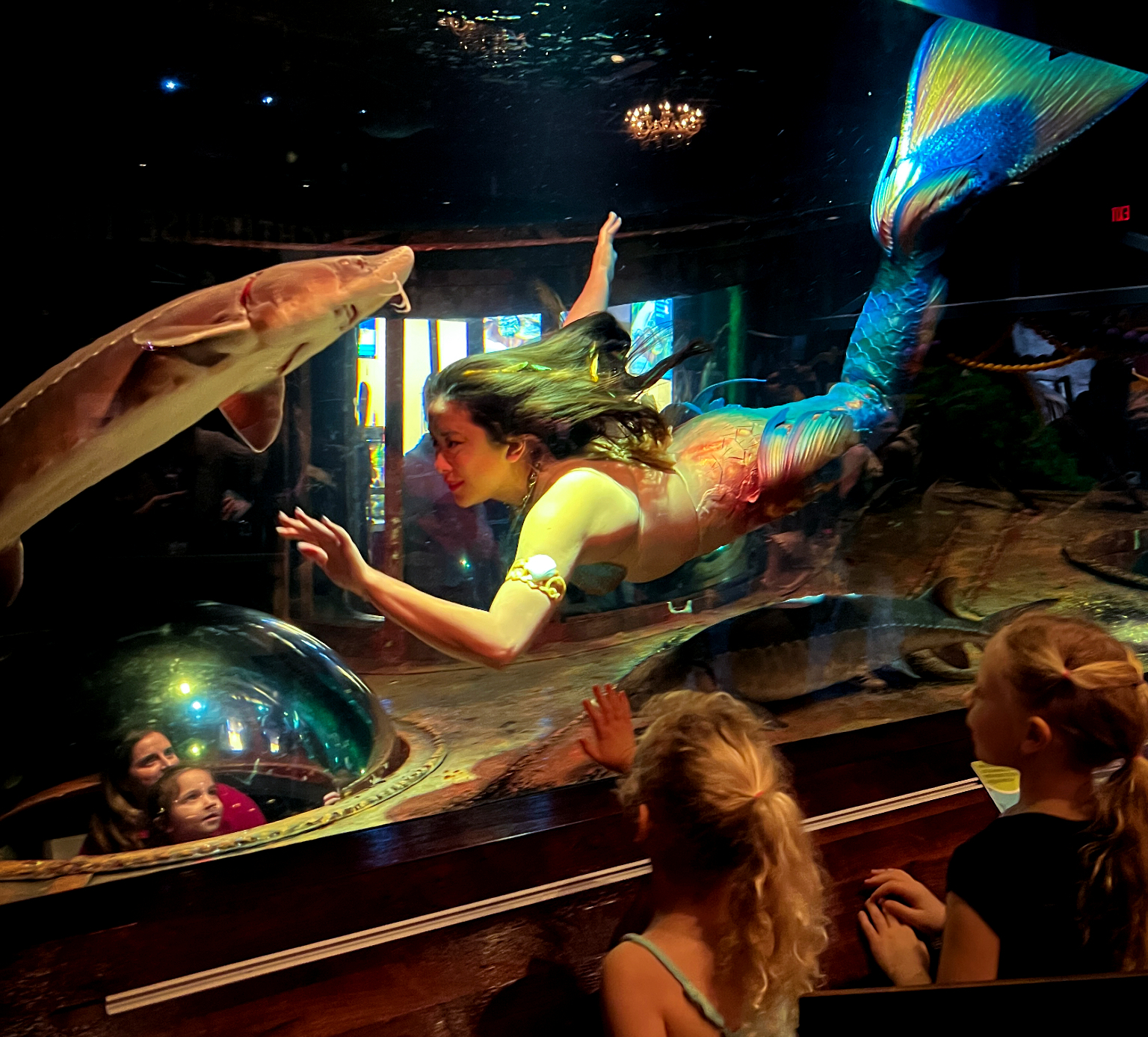 Dive Into An Enchanting March Break The Aquatarium s Mermaids Are Back dive-into-an-enchanting-march-break-the-aquatarium-s-mermaids-are-back