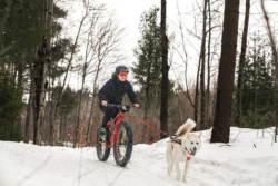 Image for Prescott & Russell