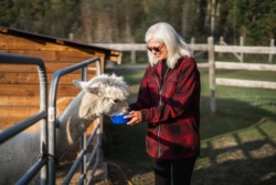 Image for Prescott & Russell