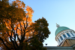 Image for Kingston