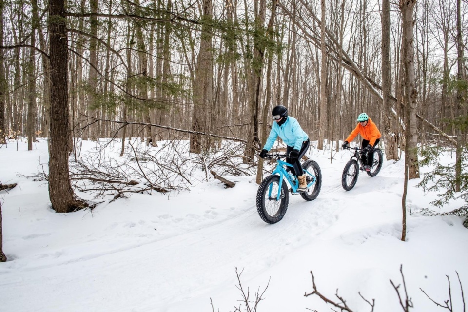 Image for Plein air et Aventure